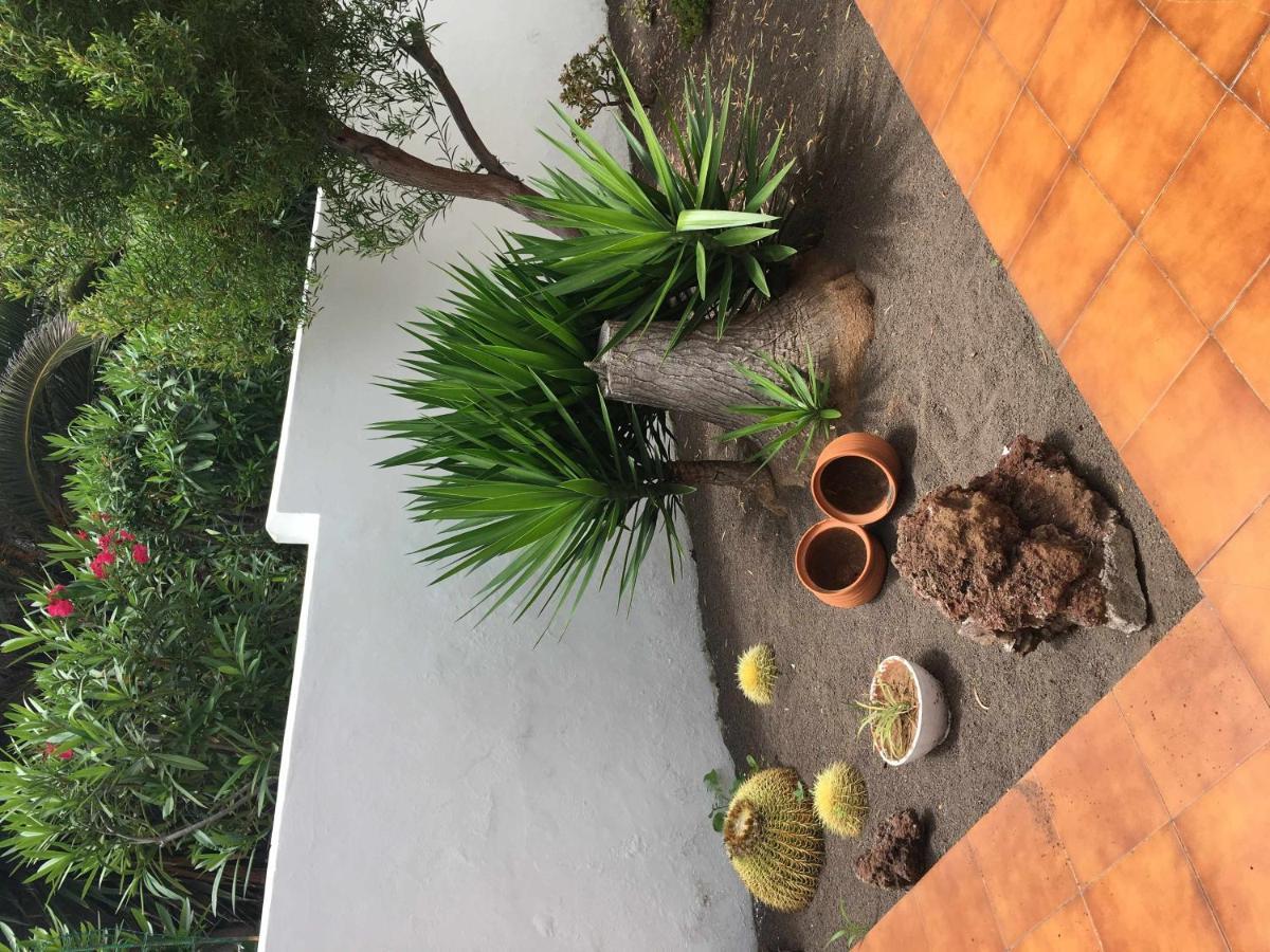 Apartamento Con Jardin Y Piscina B Puerto de la Cruz  Eksteriør billede