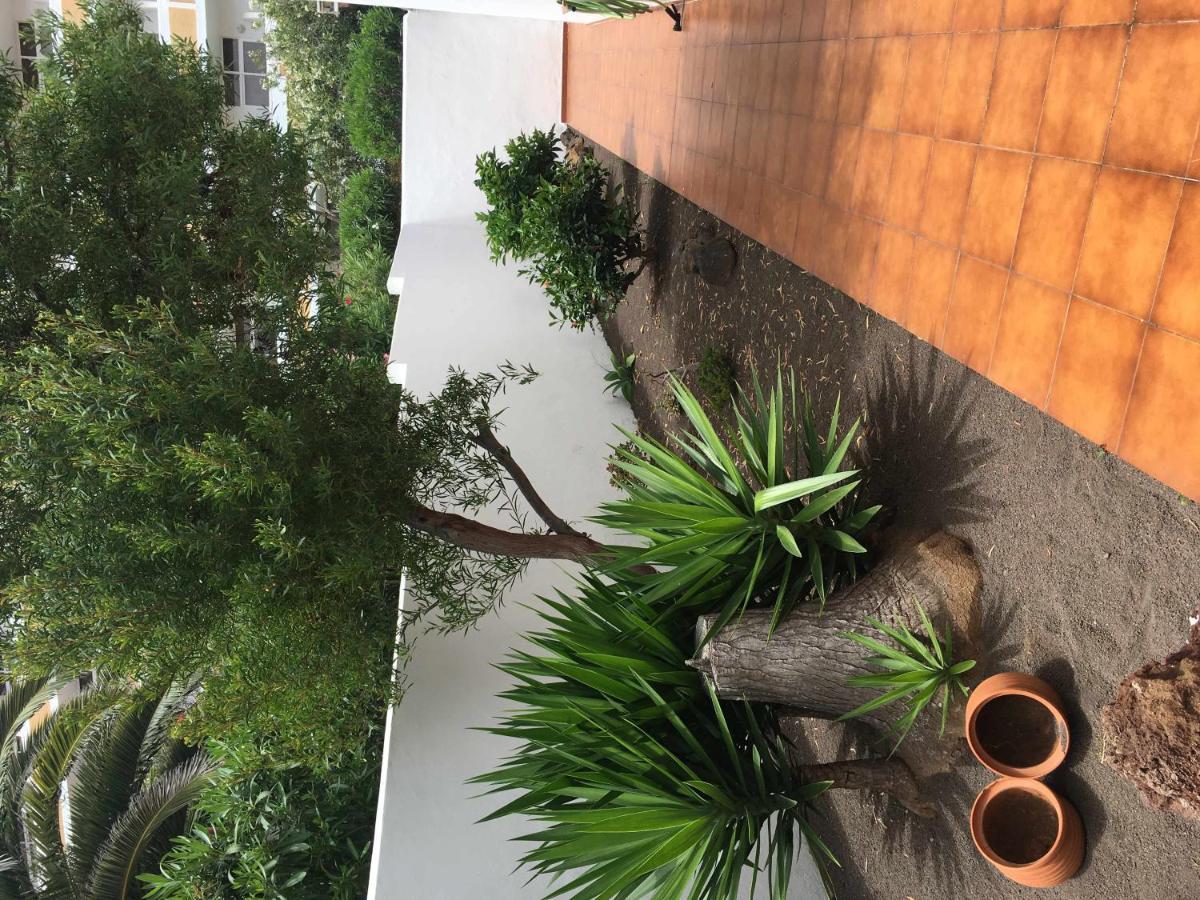 Apartamento Con Jardin Y Piscina B Puerto de la Cruz  Eksteriør billede